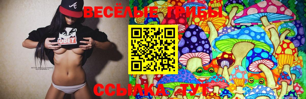 Галлюциногенные грибы ЛСД Мелеуз