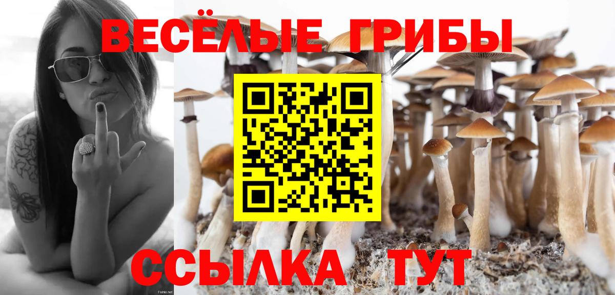 Псилоцибиновые грибы Cubensis  Вход с VPN  Псилоцибиновые грибы прущие грибы  где можно купить   Мелеуз 